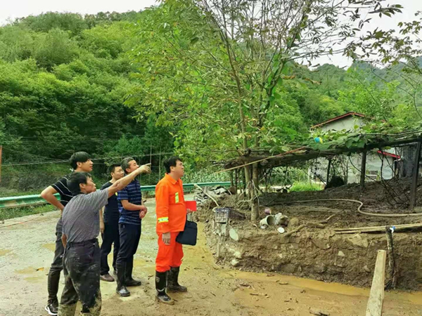 20210901/612ed464cb2aa.jpg 2.jpg