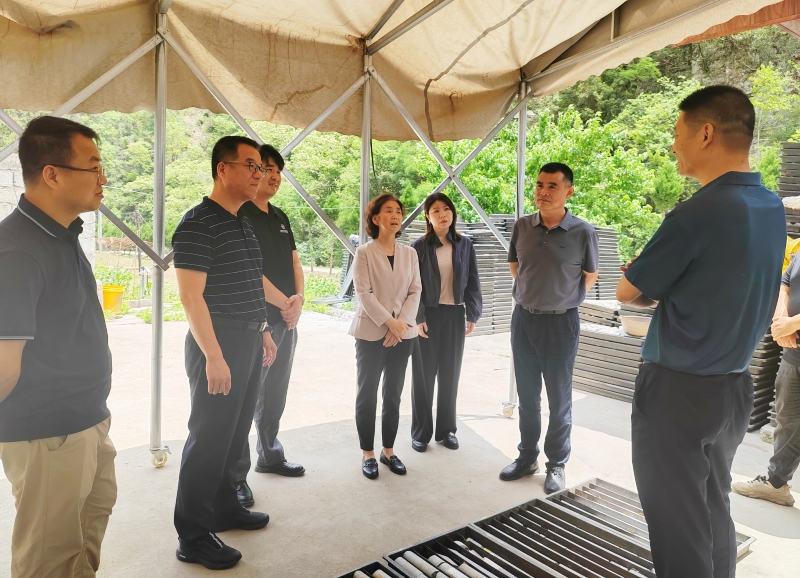 20250611/68493102cb6d8.jpg 1.jpg